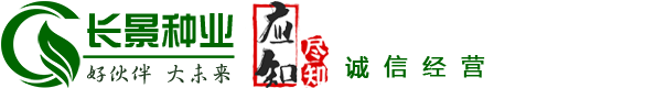 [長景園林] 苗木批發基地-綠化公司-提供苗木報價-品種名稱圖片查詢